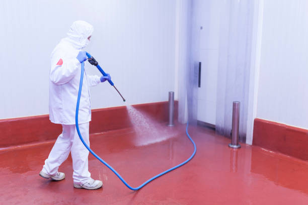 Best Animal Enclosure Cleaning  in Hurlock, MD