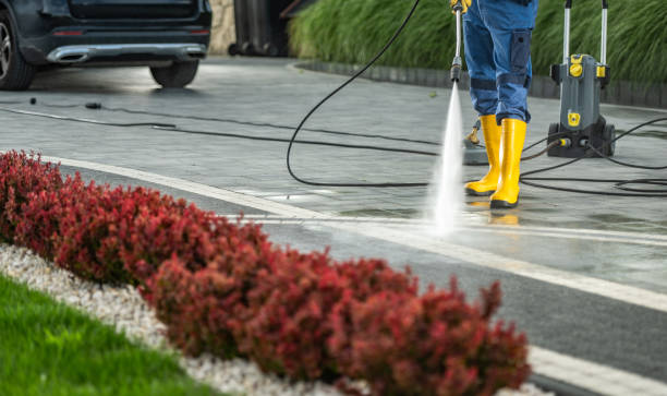 Reliable Hurlock, MD Pressure Washing Services Solutions